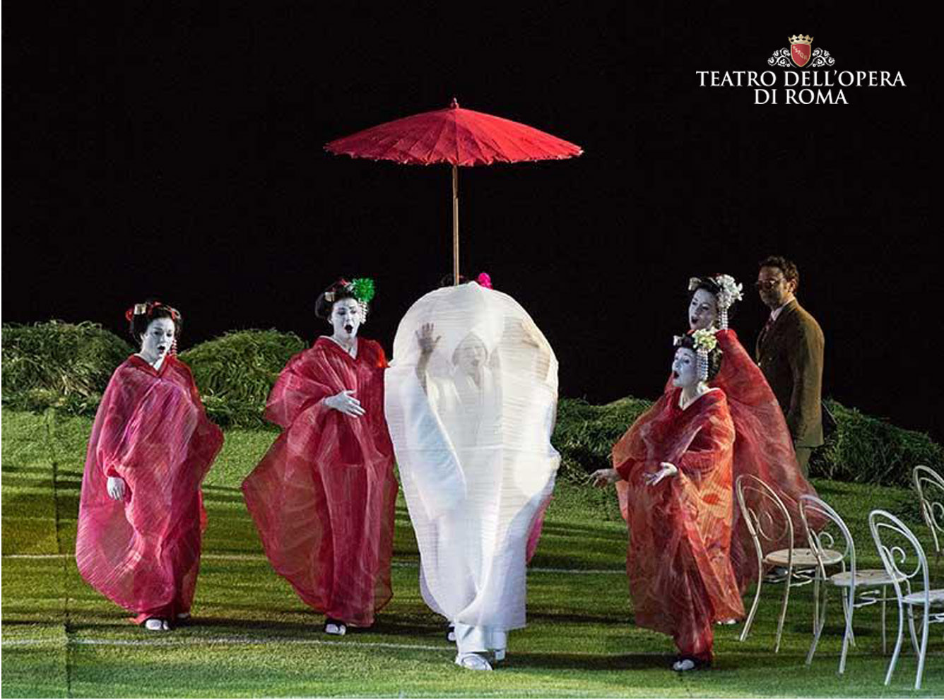 Madama butterfly